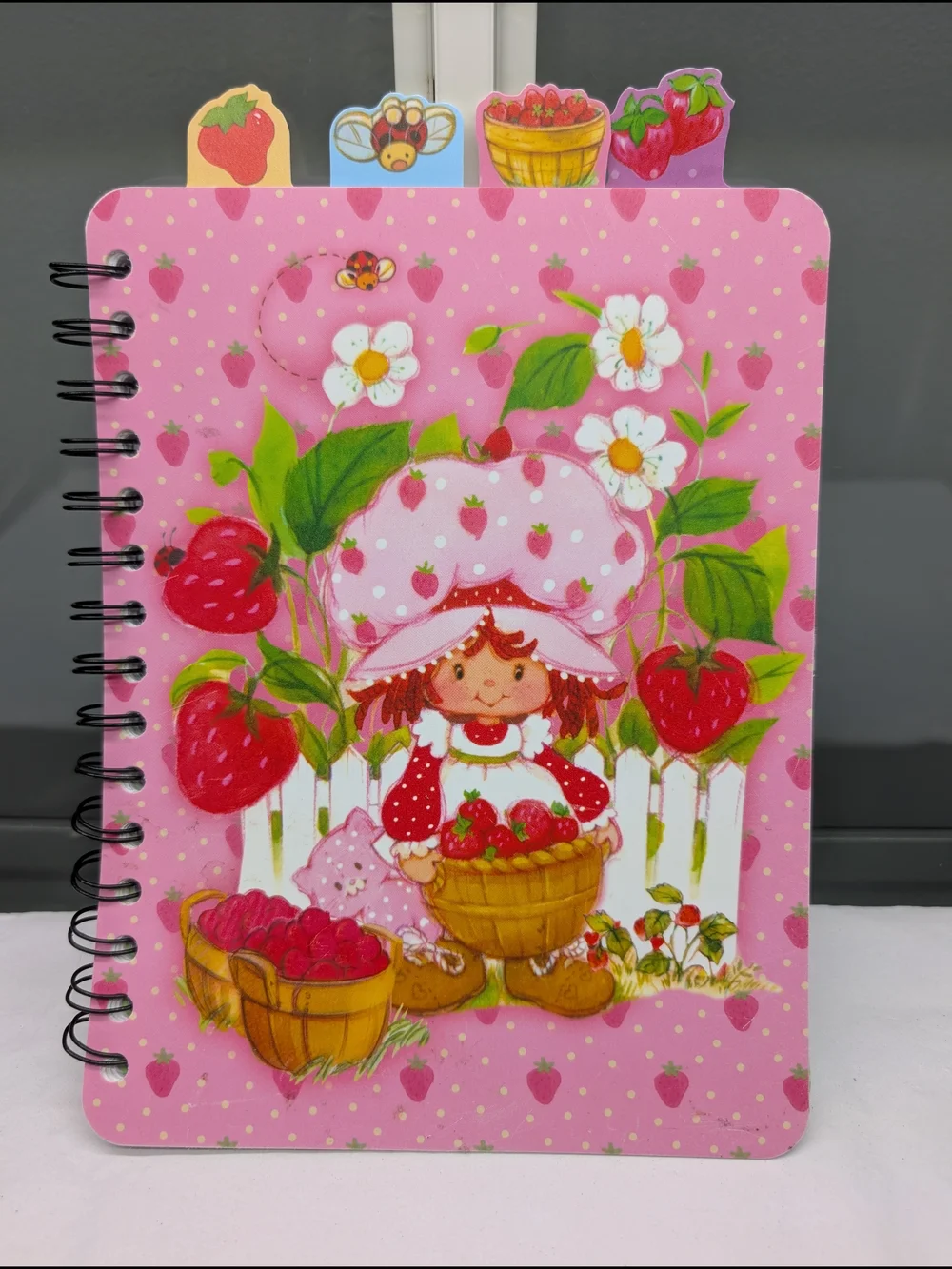 Strawberry Shortcake & Stitch Spiral Notebooks - Pink & Blue